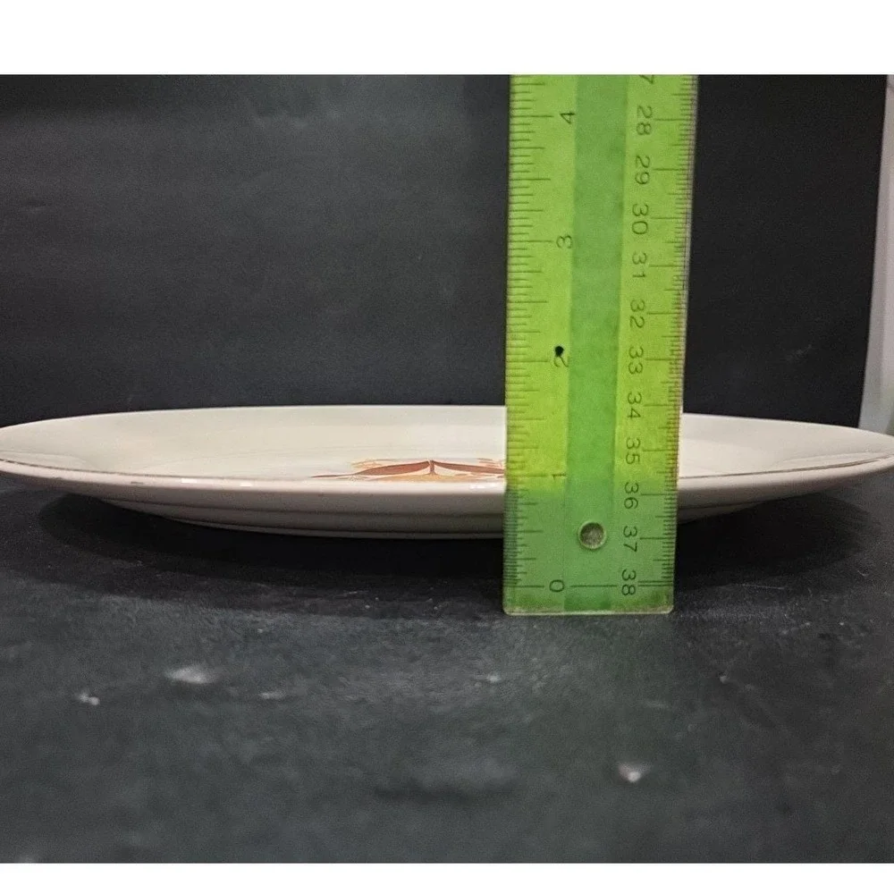 Harker Bakerite Modern Tulip Oval Platter, Homer Laughlin Serving Plate, Vintage